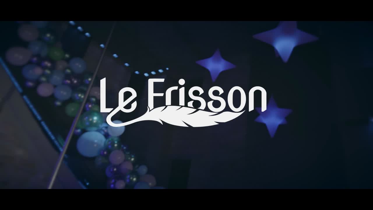 Stigmate et Ses Succubes : ambiance de la soirée